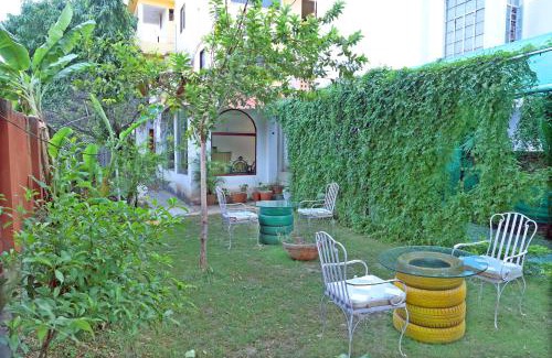 Udaipur District Hotel | Hotel Tree of heaven