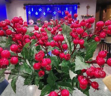 Osmanbey Hotel | Hotels and Residences in Nisantasi