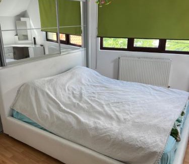 Brasov House | House in the new center,Brasov