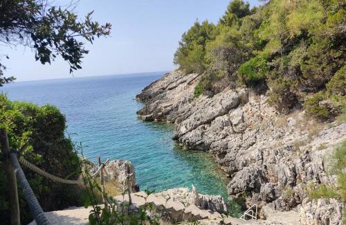 Rasohatica House | House Rasohatica Tare