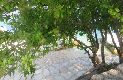 Kneza Apartment | I&J Relaxing Beach Apartments