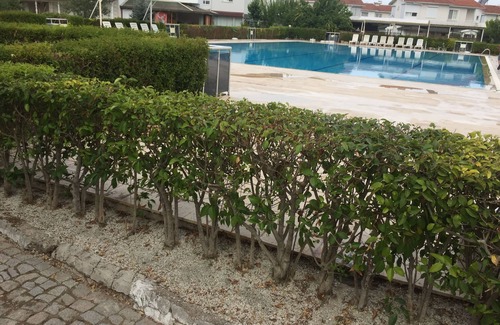 Dikili Villa | İZMİR DİKİLİ SİTE İÇİNDE HAVUZLU-BAHÇELİ VİLLA