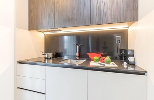 Lugano Apartment | Icon H 209 Suite Micro-living