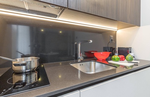 Lugano Apartment | Icon H 209 Suite Micro-living