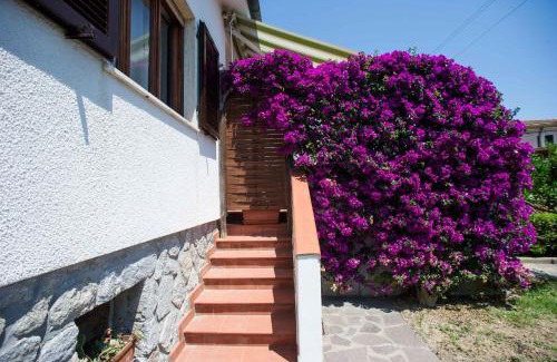 Lacona Apartment | Il Caubbio