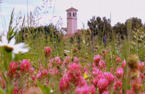 Cividale del Friuli House | Il Rifugio del Monaco