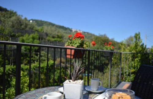 Sorrento Bed & Breakfast | Il Rivolo
