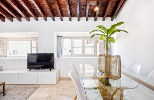 Centro Apartment | iloftmalaga City Center