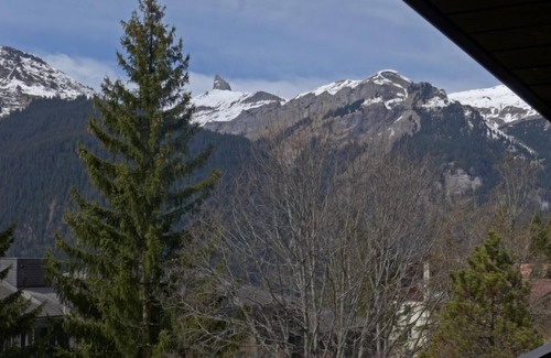 Wengen Apartment | Im Gruebi Apt.5 by Interhome