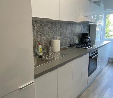 Campulung Apartment | Innova Studio