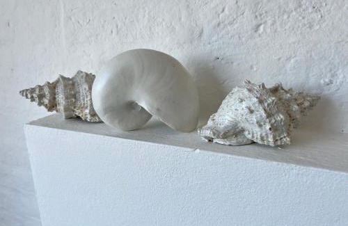 Jose Ignacio Apartment | IPB La Juanita