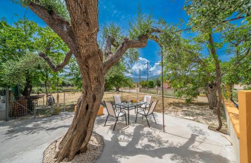Sami House | Ira's House