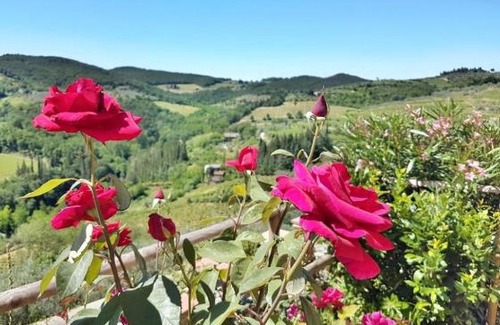 Montefioralle Apartment | Iris nel Borgo
