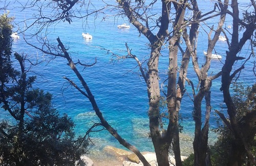 Zanca Apartment | Island of Elba in nature, unforgettable sunsets.