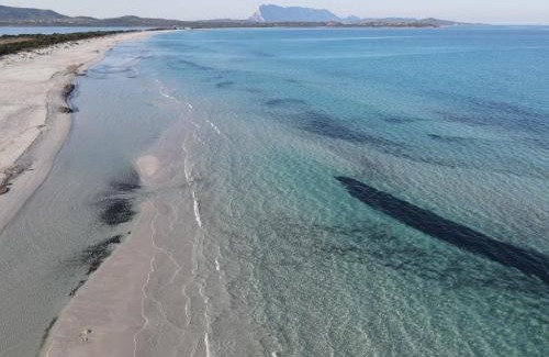 San Teodoro City Centre Apartment | Iss Travel, Apartments in Via Torino - 800 m from La Cinta beach