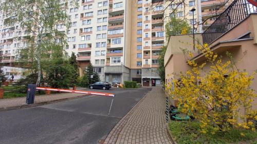 Marymount Apartment | Ivory House (Marymont-Ruda)