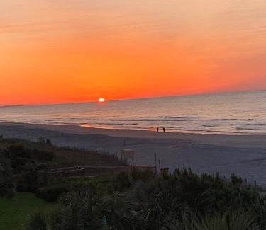 Myrtle Beach Hotel | Jade Tree Cove