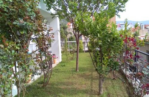 Palaio Tsifliki Apartment | Jasmine Luxury Apartment