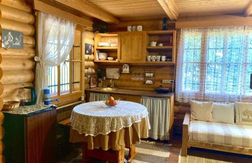 Yablunytsya Cabin | Jazz Xata