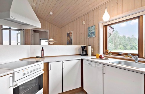 Fjerritslev House | JB188 Fjerritslev - Kollerup Klitvej 163
