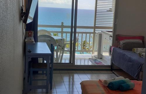 Le Diamant Apartment | Jolie studio vue mer
