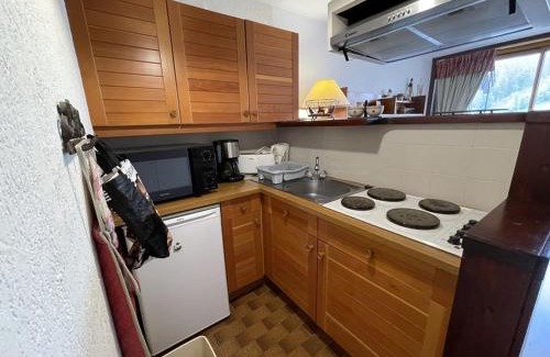 Laveissiere Apartment | joliment décoré, situé en coeur station, exposé sud - FR-1-787-132