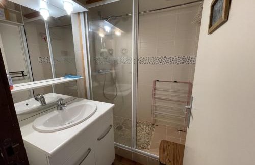 Laveissiere Apartment | joliment décoré, situé en coeur station, exposé sud - FR-1-787-132