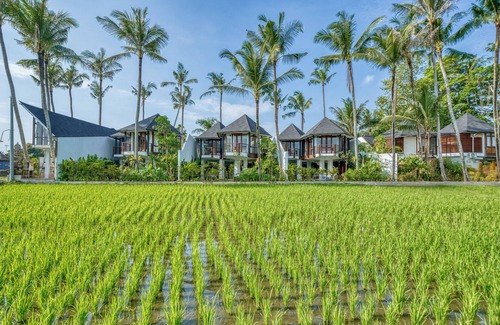Lodtunduh Villa | Jungle Flower