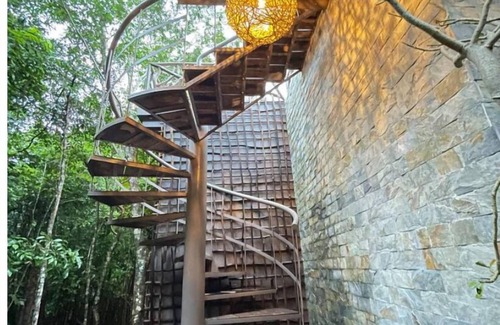 Puerto Morelos House | Jungle House next to Cenotes Puerto Morelos!