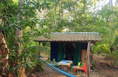 Paquera Other | Jungle Tent 3x3, Latino Glamping & Tours, Paquera