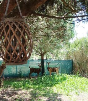 Atalaia Other | Kabaceira Glamping