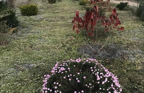 Choma Cabin | Kavango Dachils Lodges Ext2