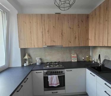 Krasnik Apartment | Kawalerka Krasińskiego