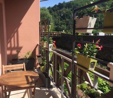 Kaysersberg-Vignoble Apartment | KAYSERSBERG - Downtown - Balcony and Parking