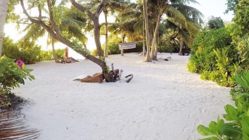 Thoddoo House | Kin'bi Inn Guest House and Shopette