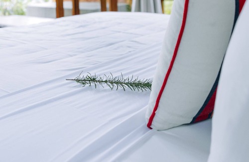 Kizimkazi Hotel | kizikula