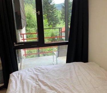 Bad Wildbad Apartment | Kleines Einzimmer-Apartment 14