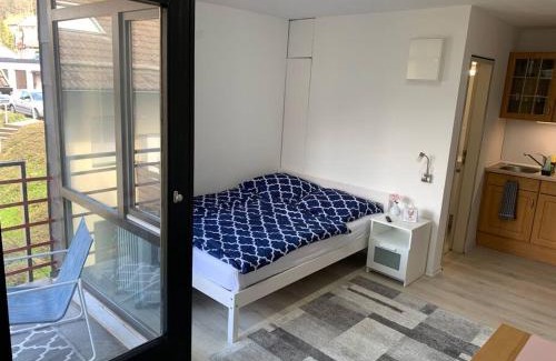 Bad Wildbad Apartment | Kleines Einzimmer-Apartment 23