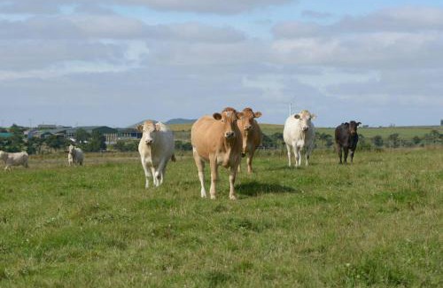 Pittenweem House | Knightsward Farm near St Andrews, Scotland