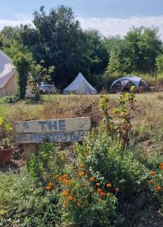Koppanyszanto Other | Koppány Pines Rewild Escapes - Wild Bell Tents