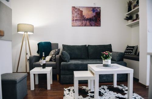 Banja Koviljaca Apartment | Koviljački raj