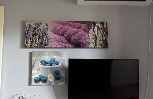 Cluj-Napoca Apartment | Kreation Rainbow