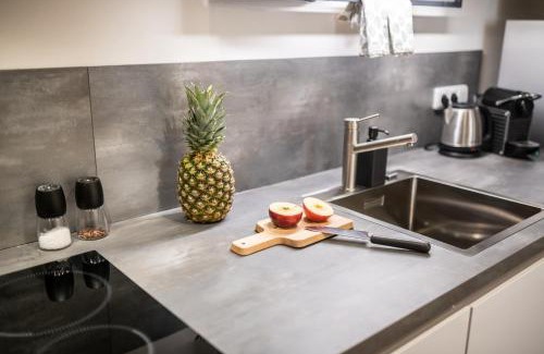 Vrchlabi Apartment | Krkonošský šarm