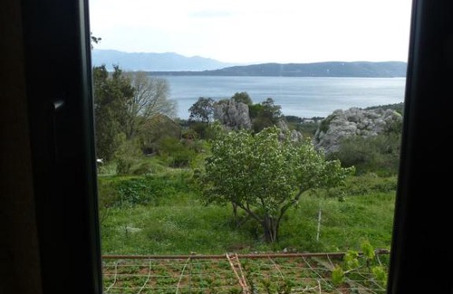 Blato House | Kuća za odmor Viola