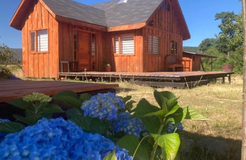 Panguipulli House | Kumewe Lodge & Cabañas