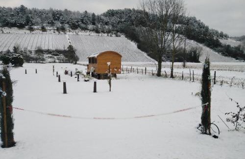 Spoy Cabin | l'échappée belle en Champagne