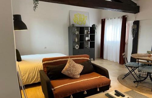 Capitole Apartment | L Alsace Lorraine - A 5min place du Capitole -Free checkIn -WIFI