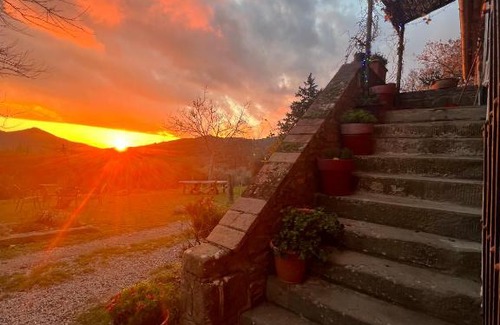 Cortona House | L' Aristocasa