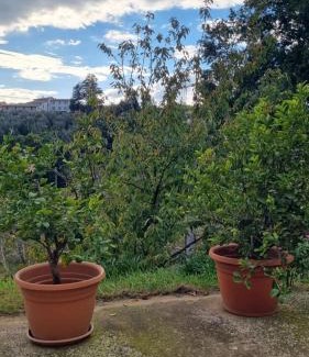 Corbara House | L' oasi del riposo