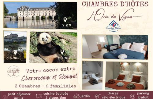 Saint-Georges-sur-Cher Bed & Breakfast | L'Orée des Vignes 41 - Près de Chenonceau et du Zoo de Beauval